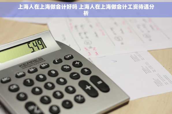 上海人在上海做会计好吗 上海人在上海做会计工资待遇分析