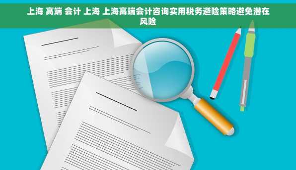上海 高端 会计 上海 上海高端会计咨询实用税务避险策略避免潜在风险