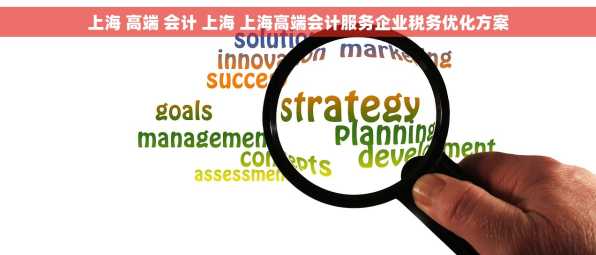 上海 高端 会计 上海 上海高端会计服务企业税务优化方案