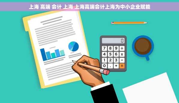 上海 高端 会计 上海 上海高端会计上海为中小企业赋能