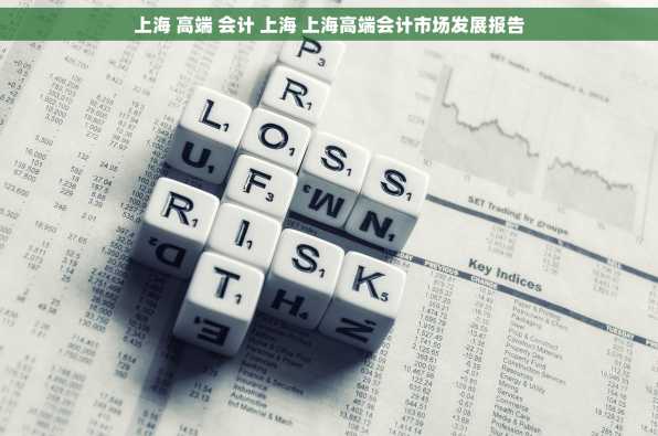 上海 高端 会计 上海 上海高端会计市场发展报告