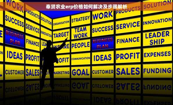 奉贤农业erp价格如何解决及步骤解析