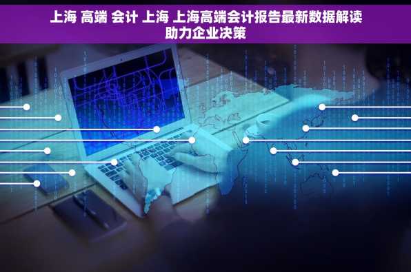 上海 高端 会计 上海 上海高端会计报告最新数据解读助力企业决策