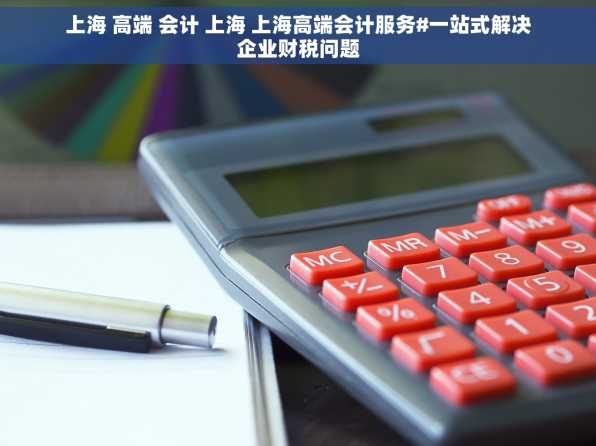 上海 高端 会计 上海 上海高端会计服务#一站式解决企业财税问题