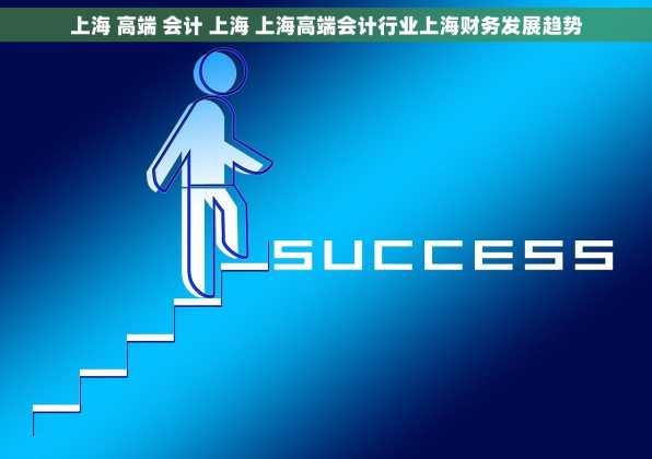 上海 高端 会计 上海 上海高端会计行业上海财务发展趋势