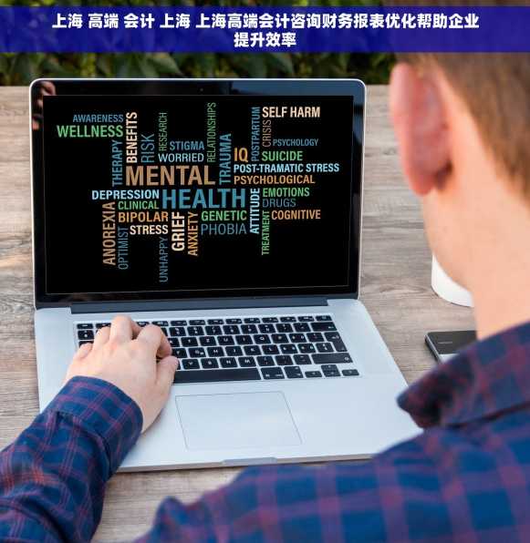 上海 高端 会计 上海 上海高端会计咨询财务报表优化帮助企业提升效率