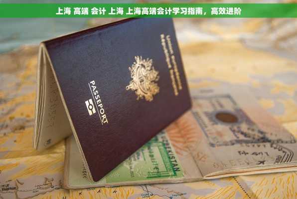 上海 高端 会计 上海 上海高端会计学习指南，高效进阶