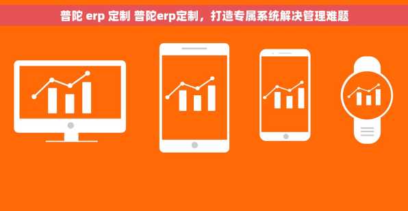 普陀 erp 定制 普陀erp定制，打造专属系统解决管理难题