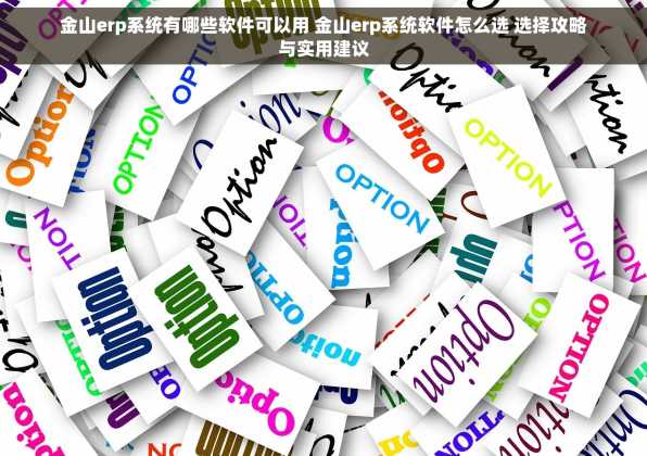 金山erp系统有哪些软件可以用 金山erp系统软件怎么选 选择攻略与实用建议