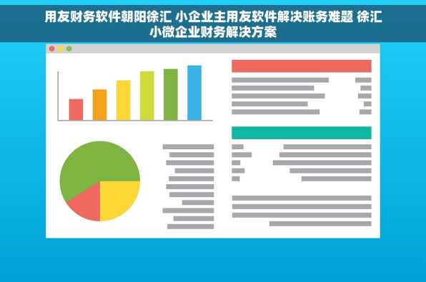 用友财务软件朝阳徐汇 小企业主用友软件解决账务难题 徐汇小微企业财务解决方案
