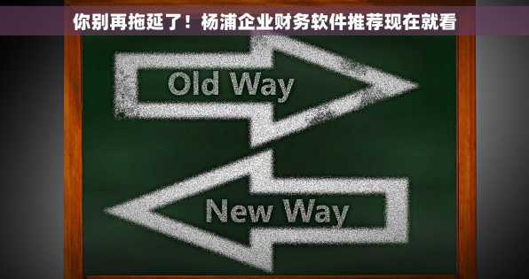 你别再拖延了！杨浦企业财务软件推荐现在就看