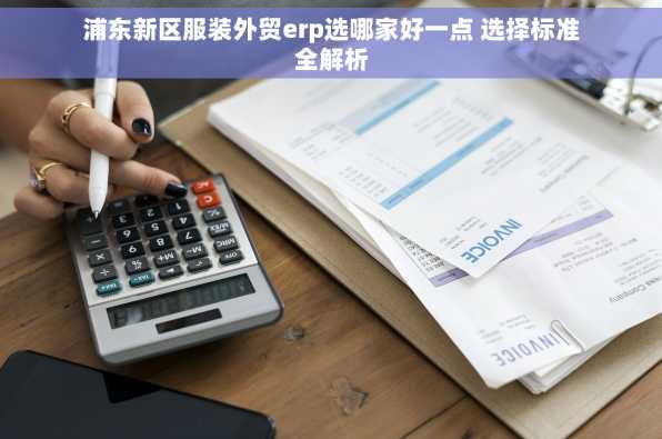 浦东新区服装外贸erp选哪家好一点 选择标准全解析