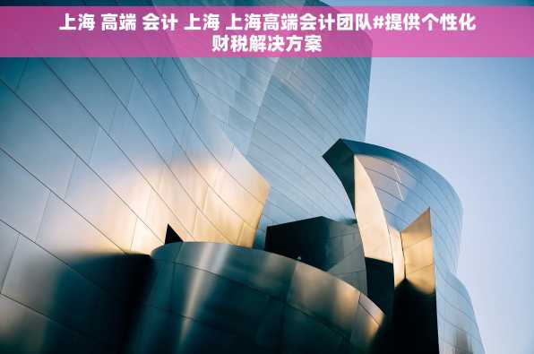 上海 高端 会计 上海 上海高端会计团队#提供个性化财税解决方案
