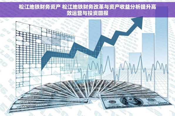 松江地铁财务资产 松江地铁财务改革与资产收益分析提升高效运营与投资回报
