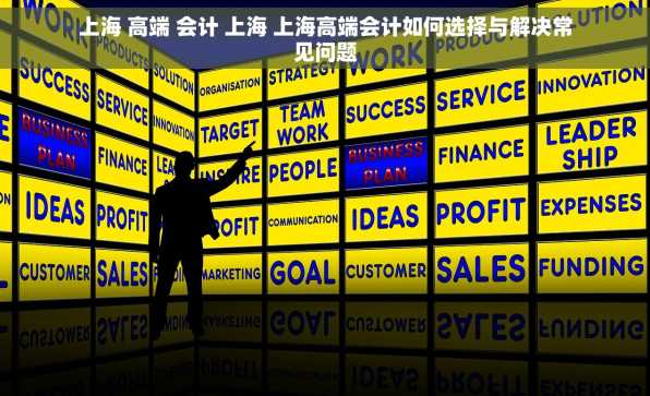 上海 高端 会计 上海 上海高端会计如何选择与解决常见问题