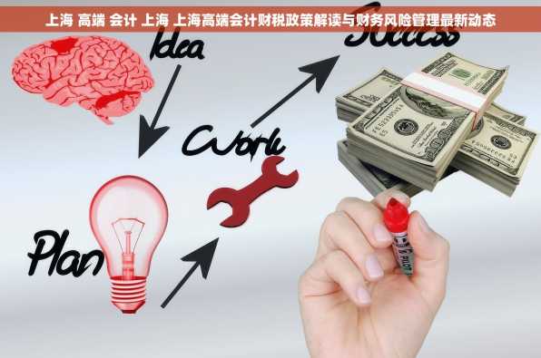 上海 高端 会计 上海 上海高端会计财税政策解读与财务风险管理最新动态