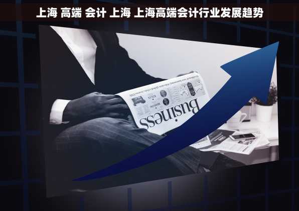 上海 高端 会计 上海 上海高端会计行业发展趋势