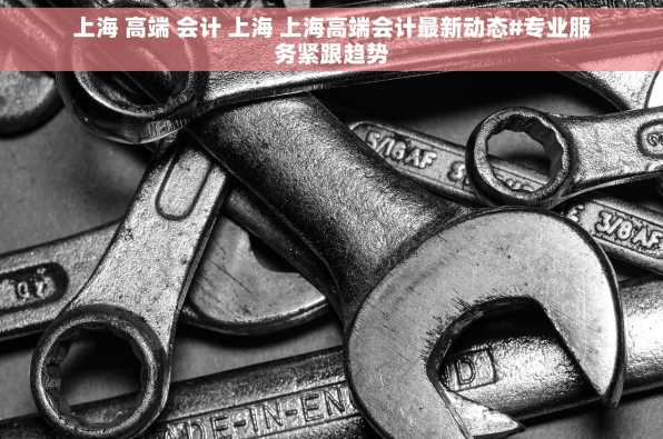 上海 高端 会计 上海 上海高端会计最新动态#专业服务紧跟趋势
