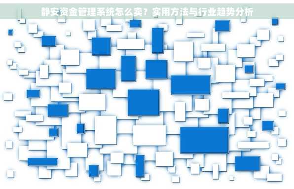 静安资金管理系统怎么卖？实用方法与行业趋势分析