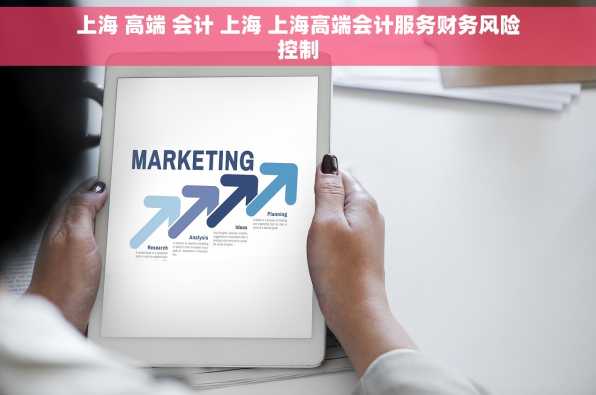 上海 高端 会计 上海 上海高端会计服务财务风险控制