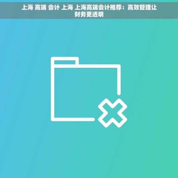 上海 高端 会计 上海 上海高端会计推荐：高效管理让财务更透明