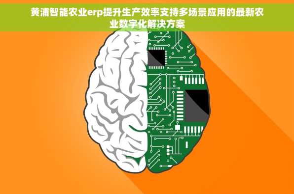 黄浦智能农业erp提升生产效率支持多场景应用的最新农业数字化解决方案