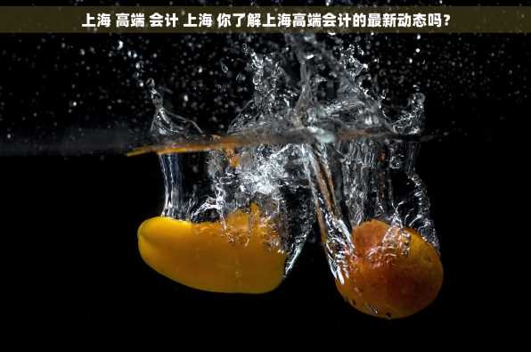 上海 高端 会计 上海 你了解上海高端会计的最新动态吗？