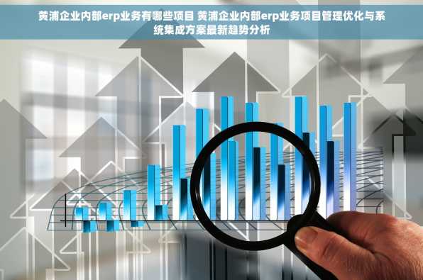 黄浦企业内部erp业务有哪些项目 黄浦企业内部erp业务项目管理优化与系统集成方案最新趋势分析
