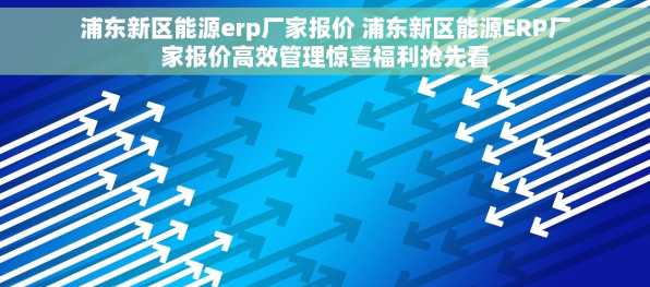 浦东新区能源erp厂家报价 浦东新区能源ERP厂家报价高效管理惊喜福利抢先看