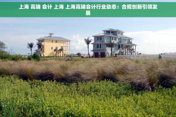 上海 高端 会计 上海 上海高端会计行业动态：合规创新引领发展
