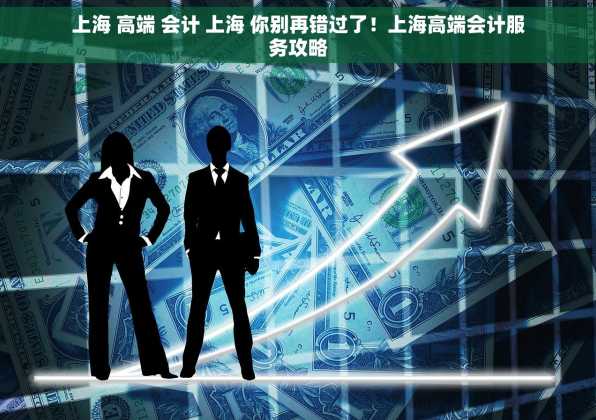上海 高端 会计 上海 你别再错过了！上海高端会计服务攻略