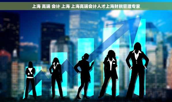 上海 高端 会计 上海 上海高端会计人才上海财税管理专家