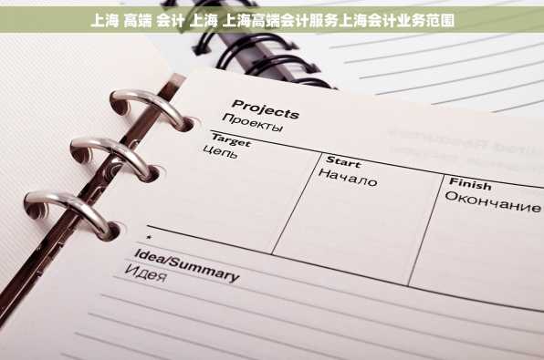上海 高端 会计 上海 上海高端会计服务上海会计业务范围