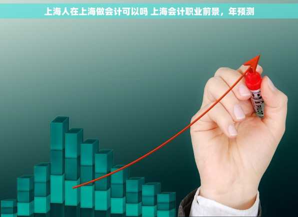 上海人在上海做会计可以吗 上海会计职业前景，年预测