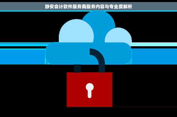 静安会计软件服务商服务内容与专业度解析