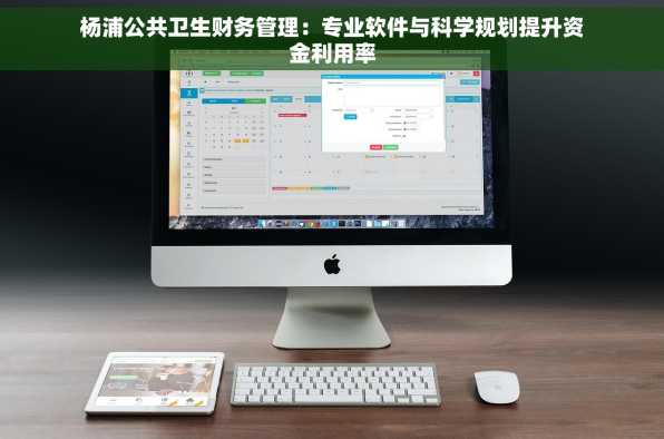 杨浦公共卫生财务管理：专业软件与科学规划提升资金利用率
