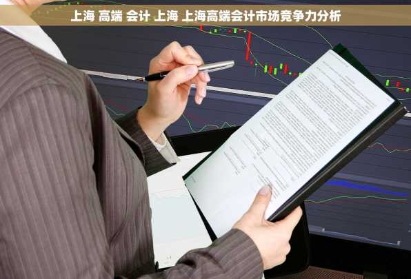 上海 高端 会计 上海 上海高端会计市场竞争力分析