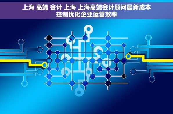 上海 高端 会计 上海 上海高端会计顾问最新成本控制优化企业运营效率