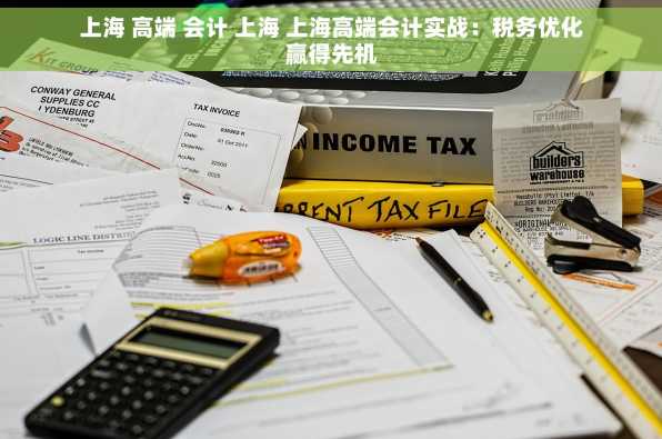 上海 高端 会计 上海 上海高端会计实战：税务优化赢得先机