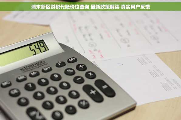 浦东新区财税代账价位查询 最新政策解读 真实用户反馈