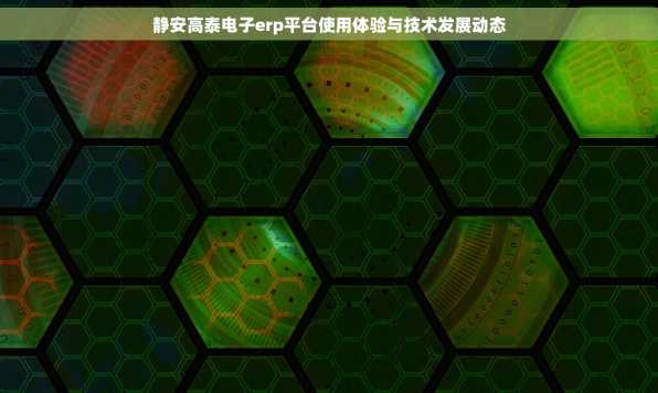 静安高泰电子erp平台使用体验与技术发展动态