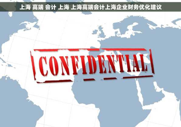上海 高端 会计 上海 上海高端会计上海企业财务优化建议