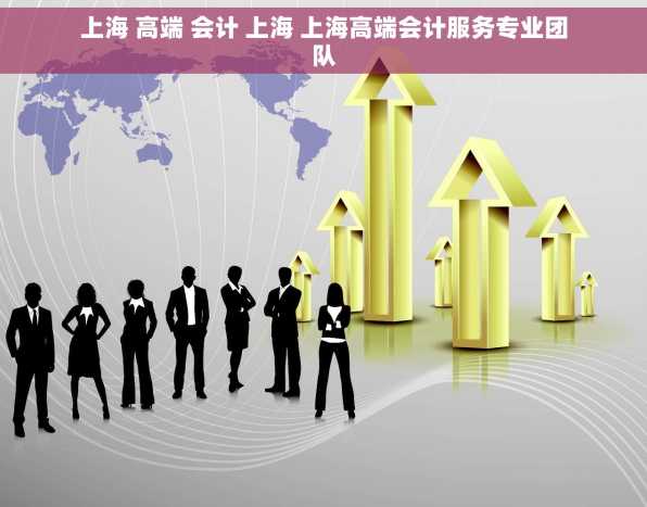 上海 高端 会计 上海 上海高端会计服务专业团队