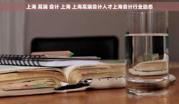 上海 高端 会计 上海 上海高端会计人才上海会计行业动态