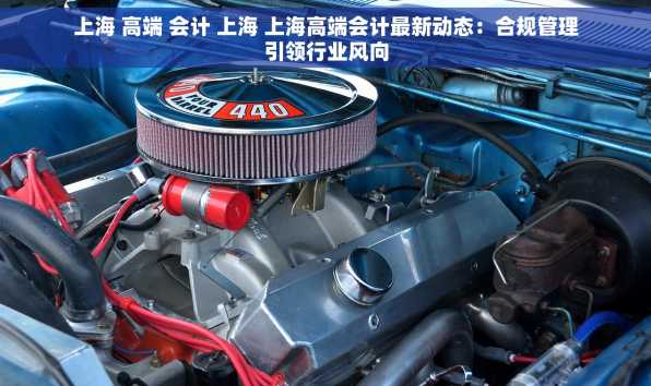 上海 高端 会计 上海 上海高端会计最新动态：合规管理引领行业风向
