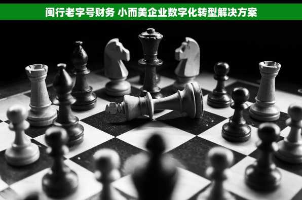 闽行老字号财务 小而美企业数字化转型解决方案