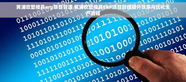黄浦吹塑模具erp项目管理 黄浦吹塑模具ERP项目管理提升效率与优化生产流程