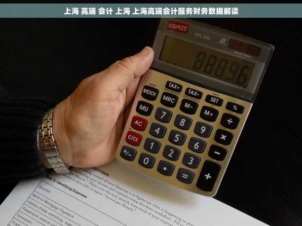 上海 高端 会计 上海 上海高端会计服务财务数据解读