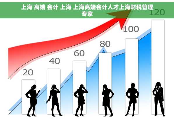 上海 高端 会计 上海 上海高端会计人才上海财税管理专家