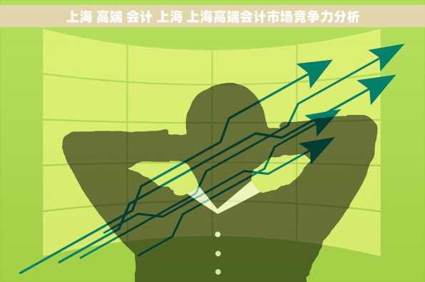 上海 高端 会计 上海 上海高端会计市场竞争力分析